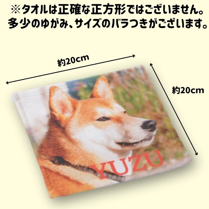 名入れハンカチ カスタマイズハンカチ カスタマイズベビーハンカチ ペット誕生祝福 結婚祝福 記念日 誕生日プレゼント ギフト