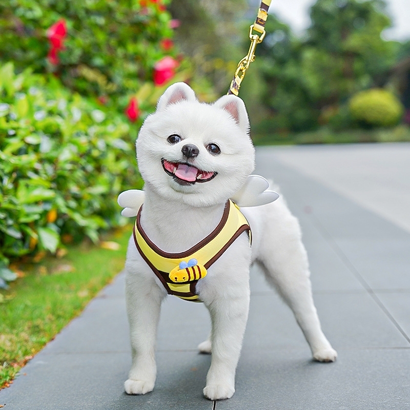 ミツバチ柄 ペット用ハーネス＆リードセット｜犬・猫用 胸当てハーネス お散歩リード付き 調節可能 小型犬・猫用