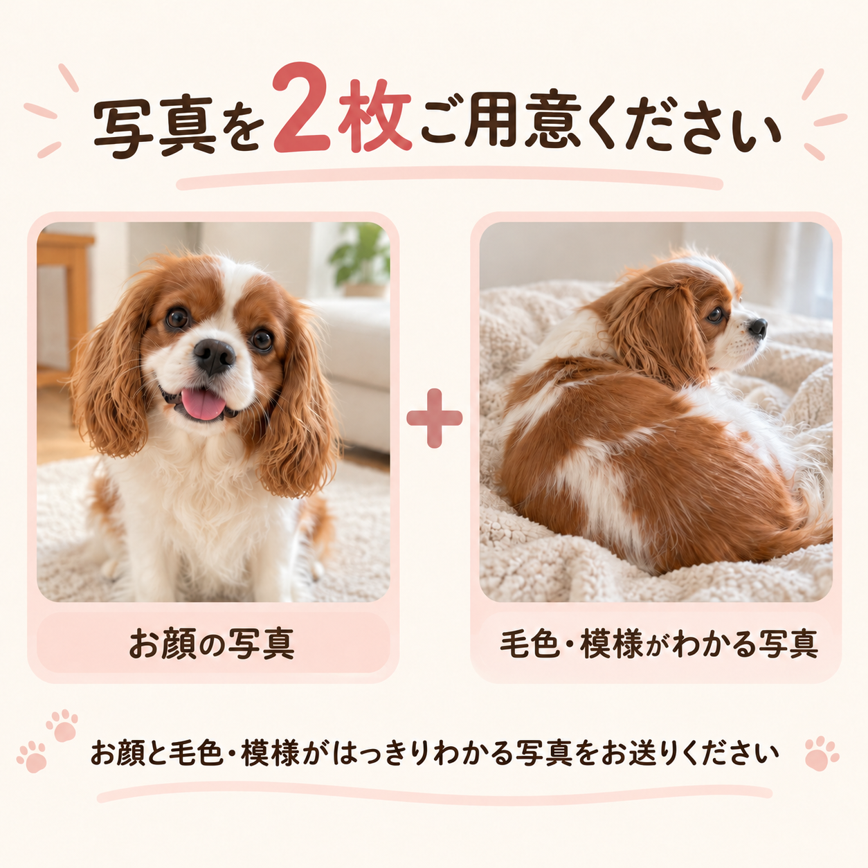 パーソナライズされたペット写真ミニポーチ,カスタムペットバッグチャーム,ペット飼育者への最高のメモリアルギフト