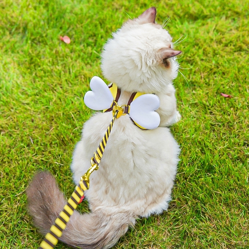 ミツバチ柄 ペット用ハーネス＆リードセット｜犬・猫用 胸当てハーネス お散歩リード付き 調節可能 小型犬・猫用