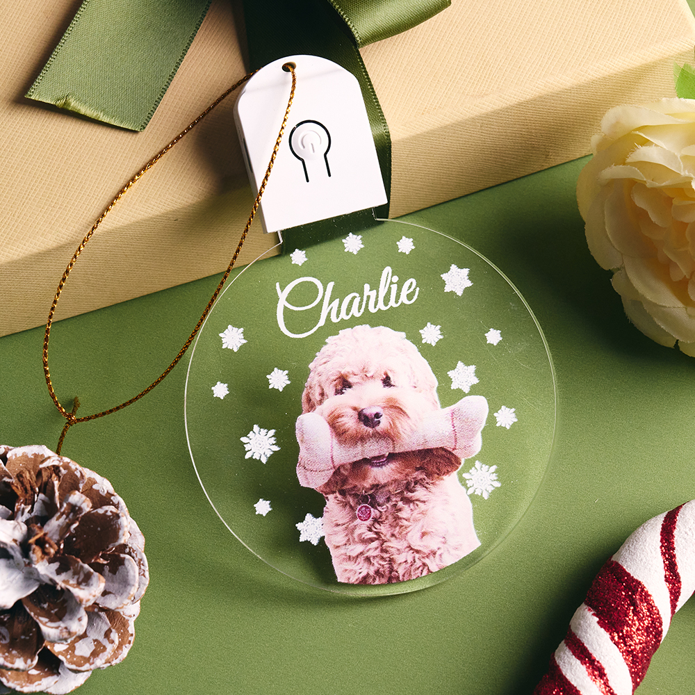 Custom Photo Dog Circle Led Acrylic Ornament Christmas Gift For Dog Lovers - MyMoonLampAu