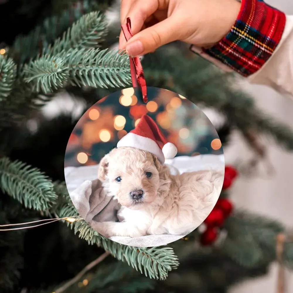 Funny Ornament Single-sided Custom Photo Ornaments 2020 Stink Stank Stunk Christmas Tree Ornaments