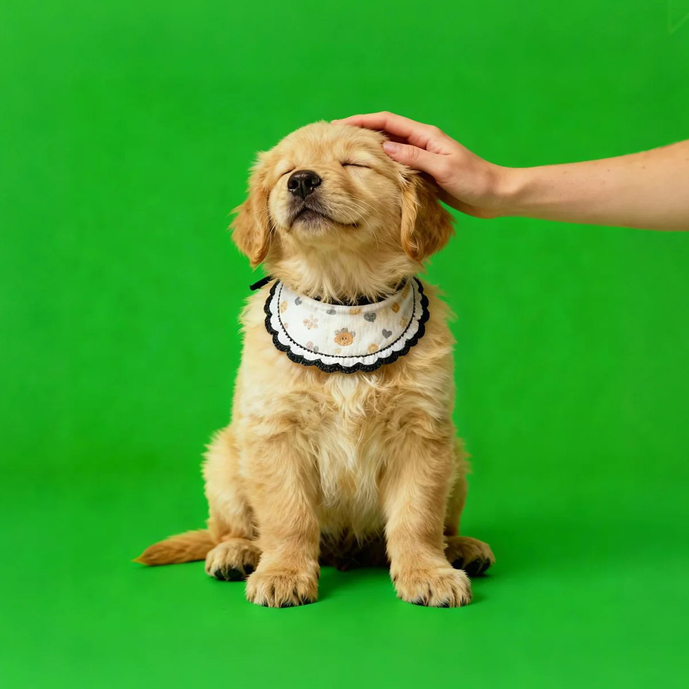 Holographic Digital Sences For Pet Holographic Digital House(Only Digital Sences Video by E-mail; Pet House Need to be purchased separately) - MyMoonLampAu