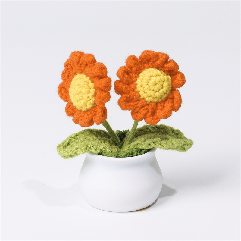 Handcrafted Daisy Crochet Pot Birthday Anniversary Gift for Friends and Family - MyMoonLampAu