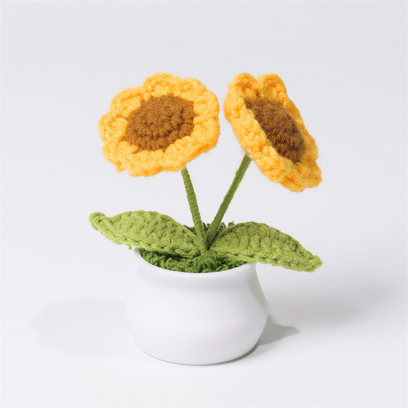 Handcrafted Daisy Crochet Pot Birthday Anniversary Gift for Friends and Family - MyMoonLampAu