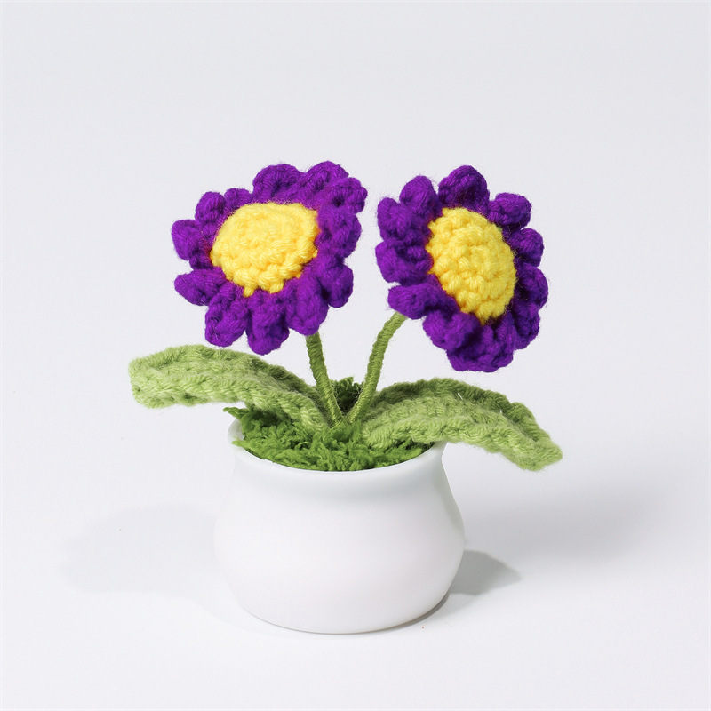 Handcrafted Daisy Crochet Pot Birthday Anniversary Gift for Friends and Family - MyMoonLampAu