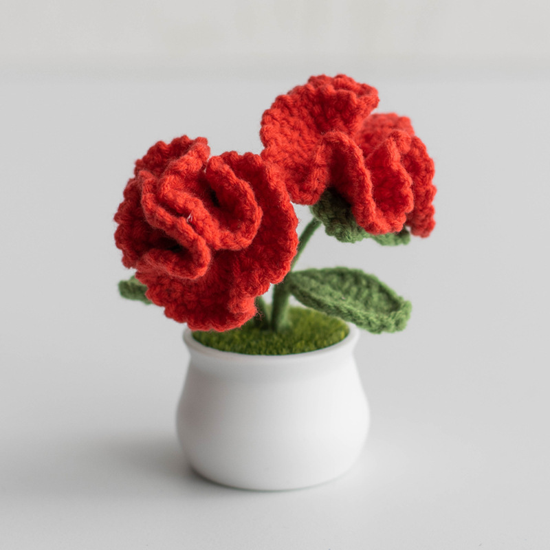 Handcrafted Carnations Crochet Pot Birthday Anniversary Gift for Mom - MyMoonLampAu
