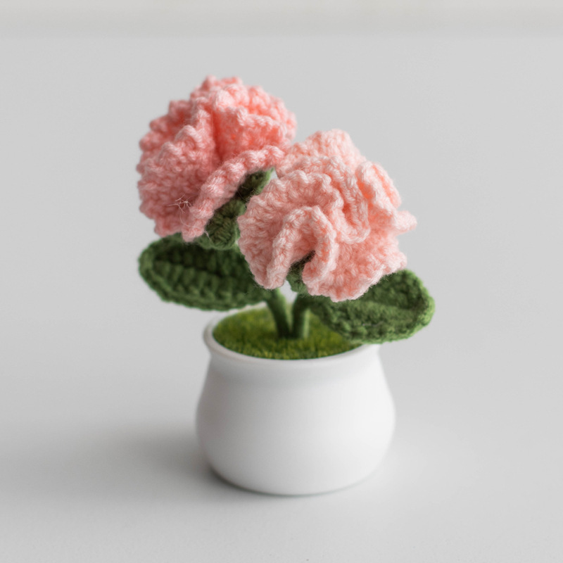 Handcrafted Carnations Crochet Pot Birthday Anniversary Gift for Mom - MyMoonLampAu
