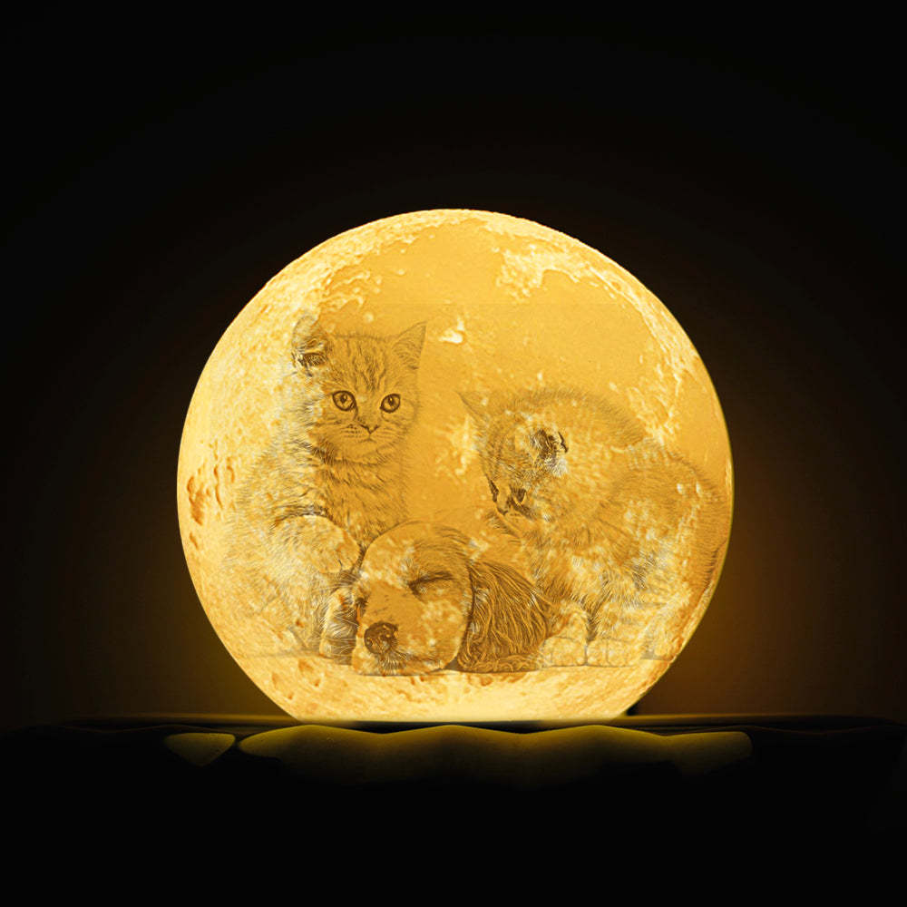 Pet Memorial Gift Photo Moon Lamp Engraved Luna Lamp With Engravings - MyMoonLampAu