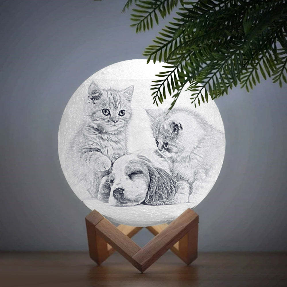 Pet Memorial Gift Photo Moon Lamp Engraved Luna Lamp With Engravings - MyMoonLampAu