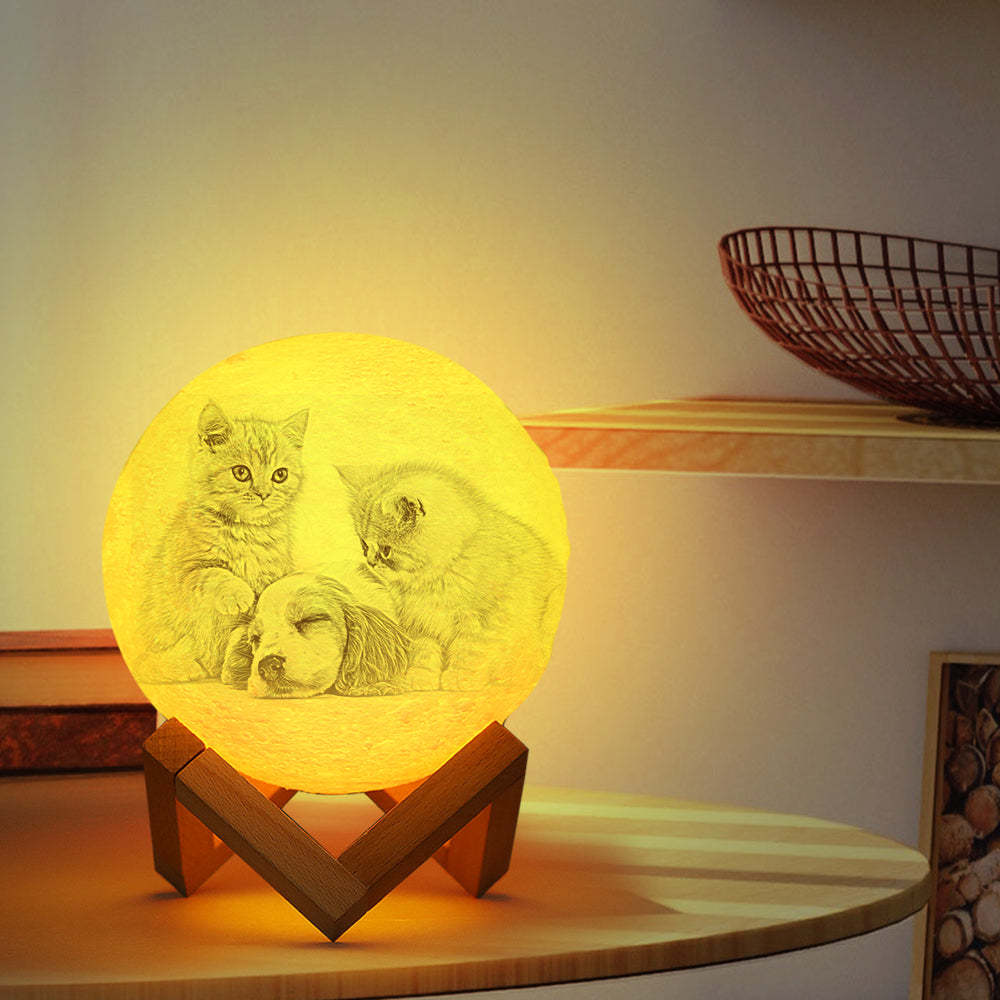 Pet Memorial Gift Photo Moon Lamp Engraved Luna Lamp With Engravings - MyMoonLampAu