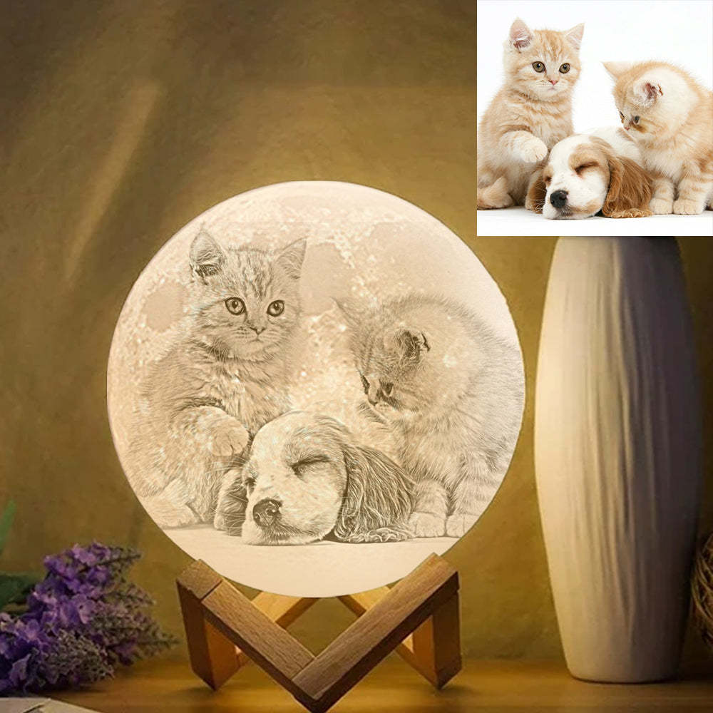 Pet Memorial Gift Photo Moon Lamp Engraved Luna Lamp With Engravings - MyMoonLampAu