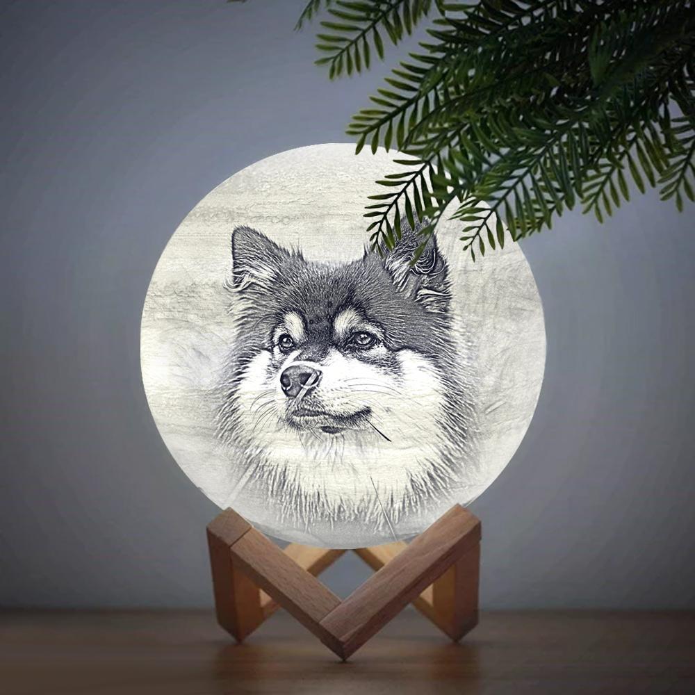 3D Printed Jupiter Lamp Personalized Lovely Pet - Touch Three Colors (10-20cm) - MyMoonLampAu