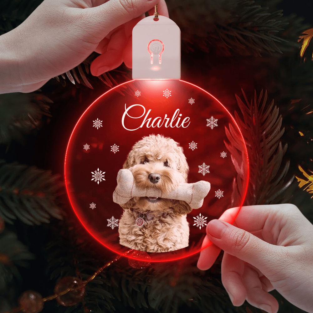 Custom Photo Dog Circle Led Acrylic Ornament Christmas Gift For Dog Lovers - MyMoonLampAu