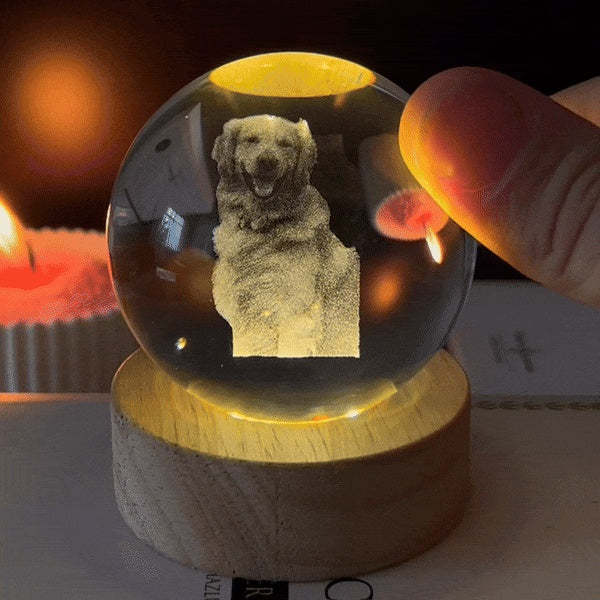 Customized B-Ultrasound Pet Photo 3D Crystal Ball Gift for Pet Lover - MyMoonLampAu