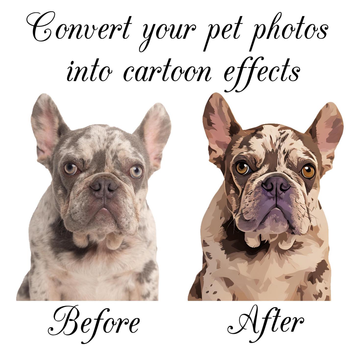 Custom Pet Photo Socks, Personalized Pet Socks, Custom Dog Socks, Mothers Day Gifts, Cat/Dog Dad Gifts, Dog Face Socks, Pet Lovers Gift - MyMoonLampAu