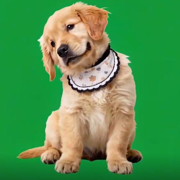 Holographic Digital Sences For Pet Holographic Digital House(Only Digital Sences Video by E-mail; Pet House Need to be purchased separately) - MyMoonLampAu