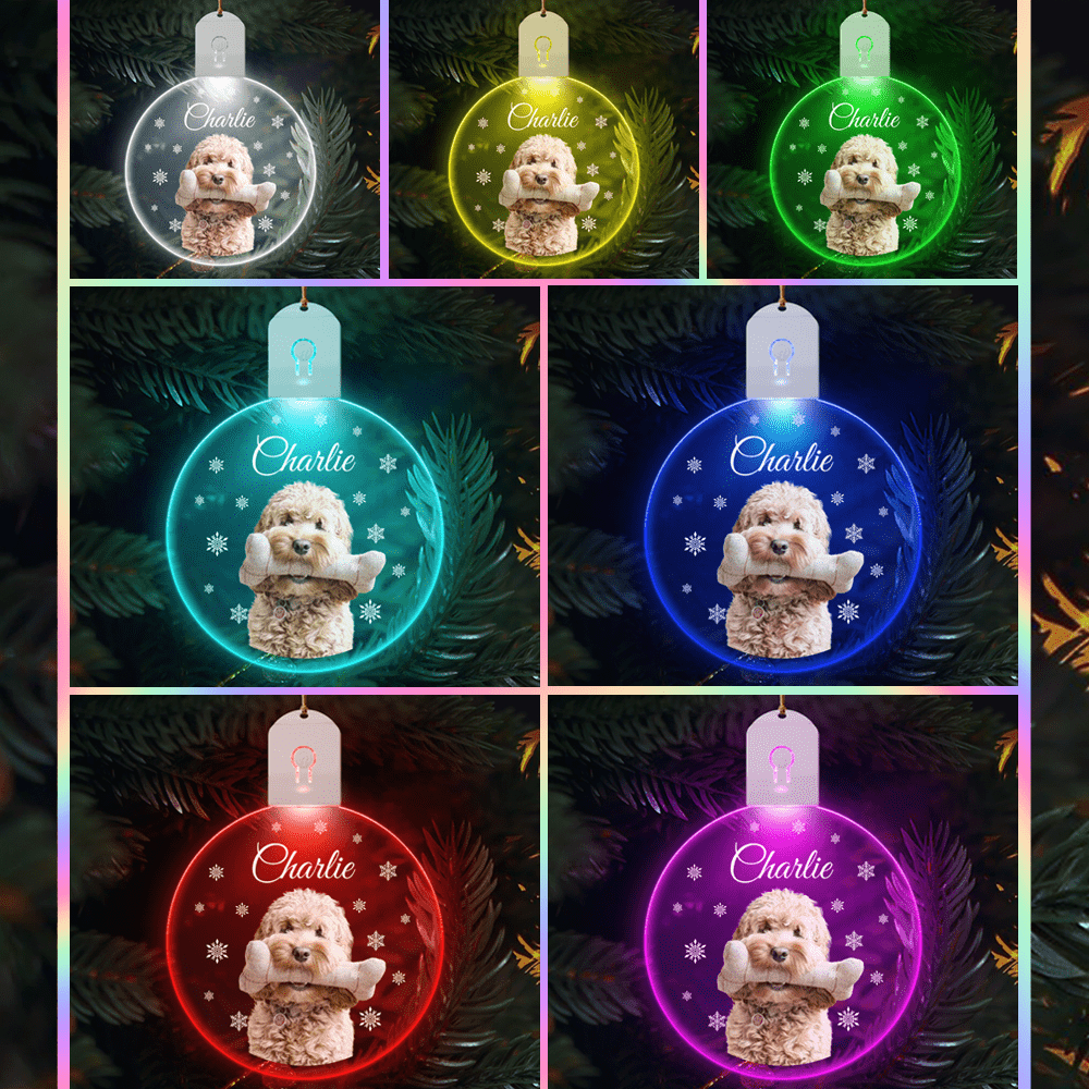 Custom Photo Dog Circle Led Acrylic Ornament Christmas Gift For Dog Lovers - MyMoonLampAu
