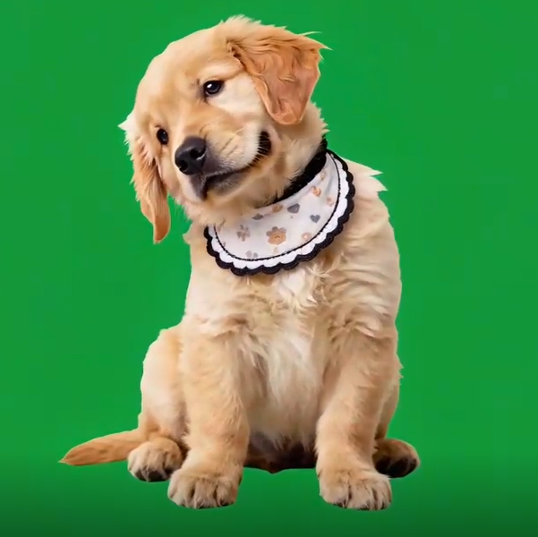 Pet Holographic Digital House | Pet Memorial Ornaments | High-Transmittance Holographic Material Image DIY Pet Holographic House