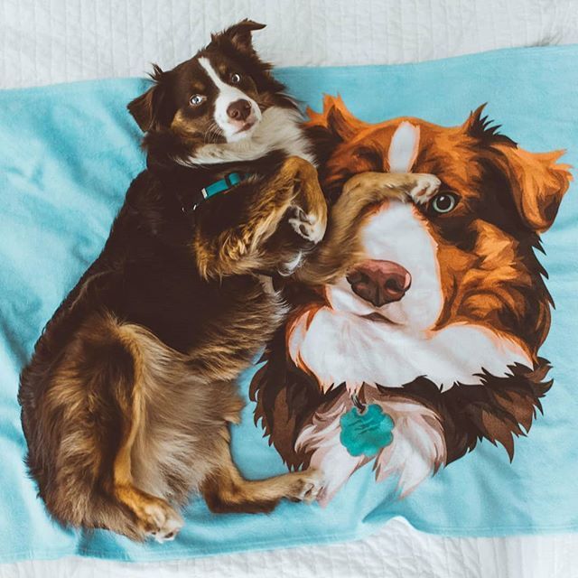 Pet Memorial Ideas Aussie Blanket Australian Shepherd Dog Blankets Personalised Pet Painted Art Portrait Fleece Blanket