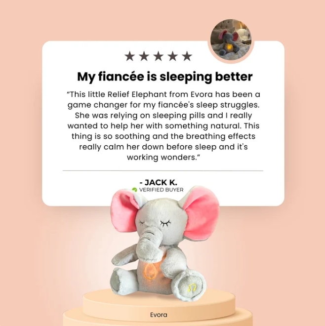 THE RELIEF ELEPHANT - auphotoblanket