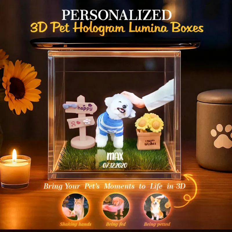 3D Angel Pet Cat Holographic House Custom Pet Memorial Display Vidio Box Lumina Boxes Gift For Pet Lovers - auphotoblanket