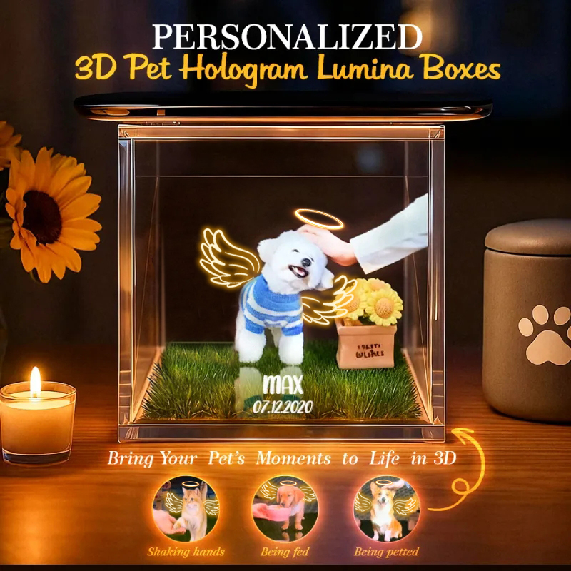 3D Angel Pet Cat Holographic House Custom Pet Memorial Display Vidio Box Lumina Boxes Gift For Pet Lovers - auphotoblanket