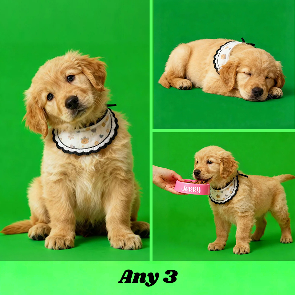 Holographic Digital Sensory Video of Pet (Digital File via Email · 10s/Scene) - auphotoblanket