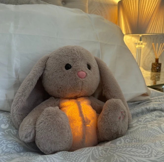 THE RELIEF BUNNY - auphotoblanket