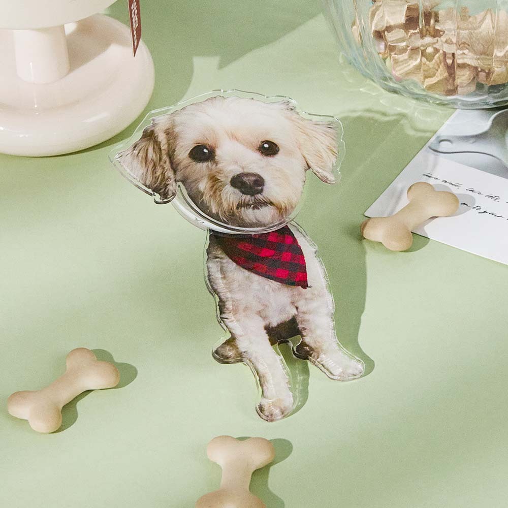 Personalized Refrigerator Magnet with Photo Pet Portrait Fridge Magnets Home Decoration Gifts for Pet Lover - auphotoblanket