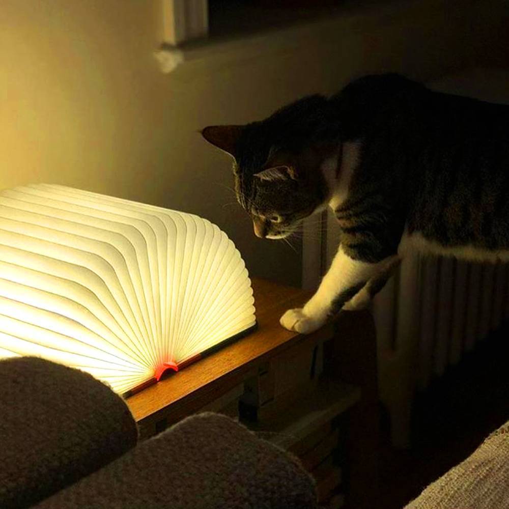 Custom Magic Book Light, Book Shaped Light Decorative Lamp, Baby Gift Reading Light - auphotoblanket