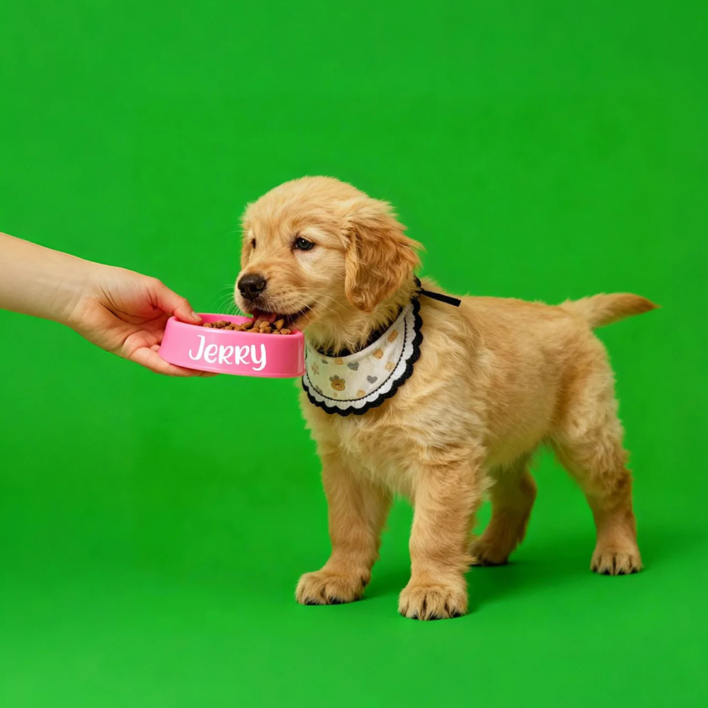 Holographic Digital Sensory Video of Pet (Digital File via Email · 10s/Scene) - auphotoblanket