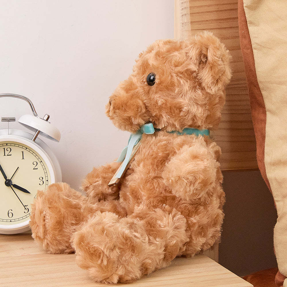 Personalized Bear Plush Birth Stats Stuffed Animal Birth Announcement Gifts - auphotoblanket