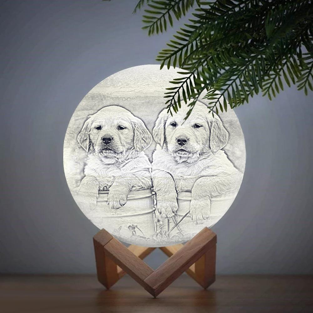 Custom Cute Pet 3D Printed Jupiter Lamp Personalized Gift - Touch Two Colors (10-15cm) - auphotoblanket