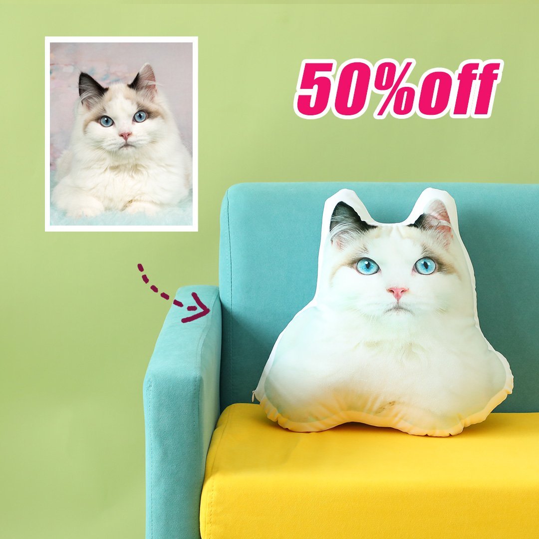 Custom Pet Photo Pillow, Custom Pet Face Pillow, 3D Portrait Pillow