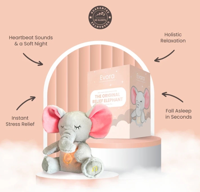 THE RELIEF ELEPHANT - auphotoblanket