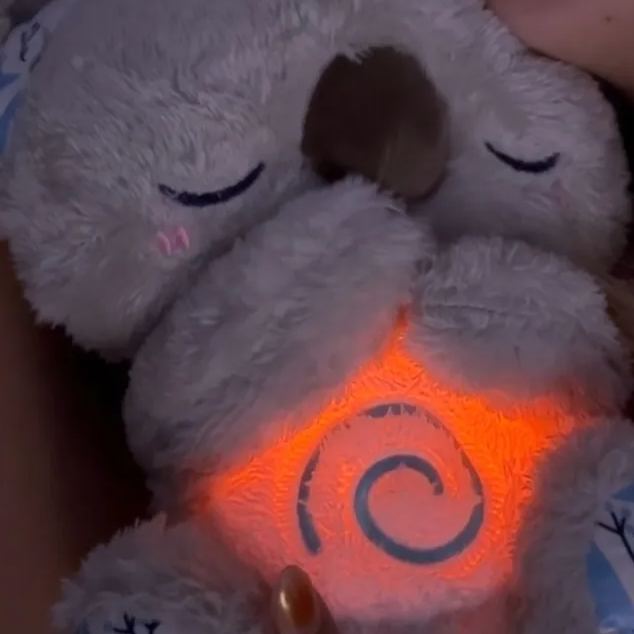 THE RELIEF KOALA - auphotoblanket