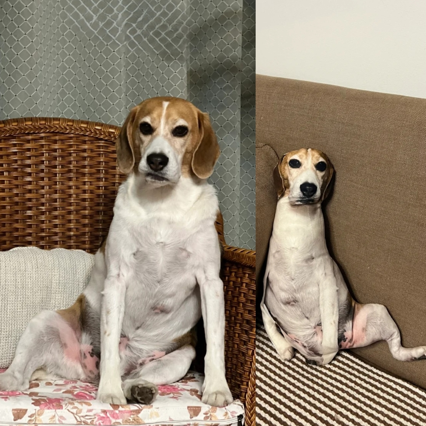 Personalized  Body Pillow Custom Throw Pillow Home Decor Gift