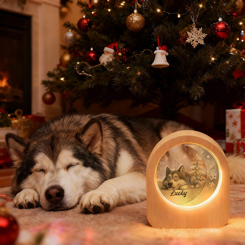 Custom Pets Photo Glass Night Light - LED Light Wooden Base, Unique Gift for Lover, Pets, Birthday - MyPhotoSocksAu
