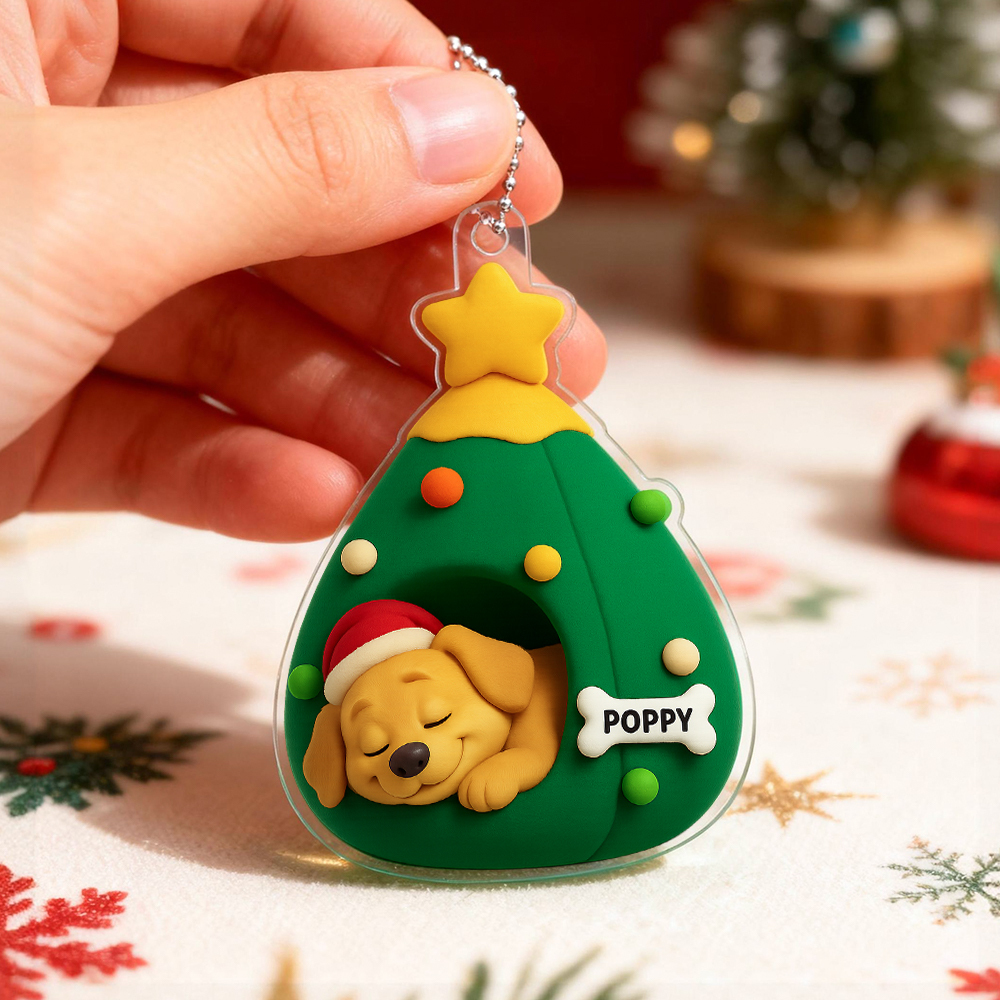 Custom Acrylic Car Hanger Pet Love In Stocking Christmas Gifts for Cute Pets Cats Xmas Lovely Gift In Memory of Your Pets Existence - MyPhotoSocksAu