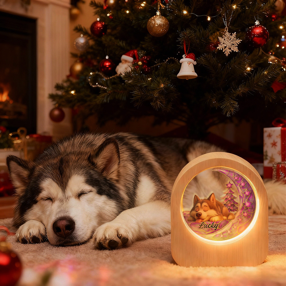Custom Pets Photo Glass Night Light - LED Light Wooden Base, Unique Gift for Lover, Pets, Birthday - MyPhotoSocksAu