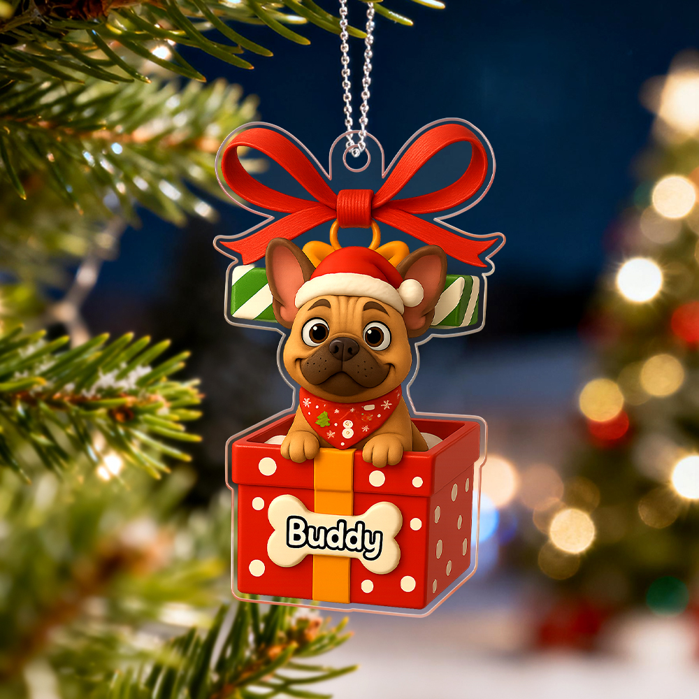 Christmas Gifts Custom Acrylic Car Hanger Pet Love In Stocking for Cute Pets Cats Xmas Lovely Gift In Memory of Your Pets Existence - MyPhotoSocksAu