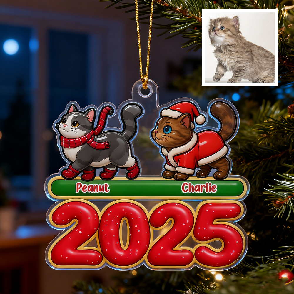 Personalized Acrylic Car Hanger - Christmas Gifts for Cute Moment - Custom Name Gift for Boyfriend & Girlfriend Family Lovers