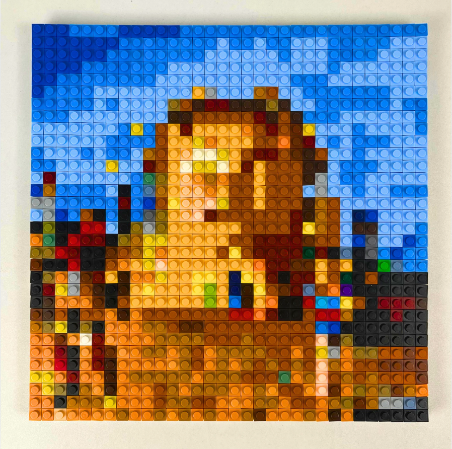 Custom Photo Build Brick by Brick Vinyl Blocks - Buildable Albums - MyPhotoSocksAu