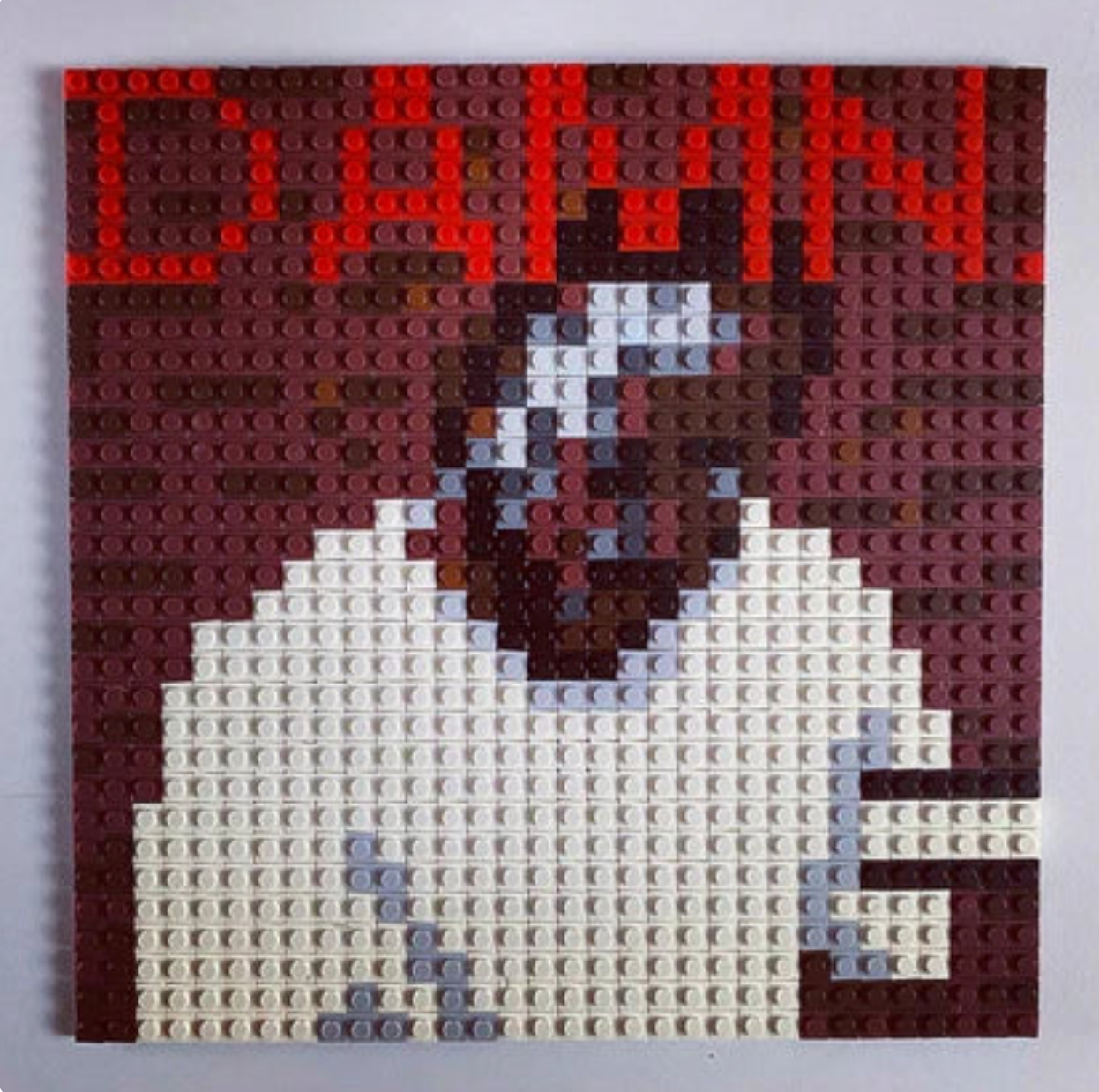 Custom Photo Build Brick by Brick Vinyl Blocks - Buildable Albums - MyPhotoSocksAu