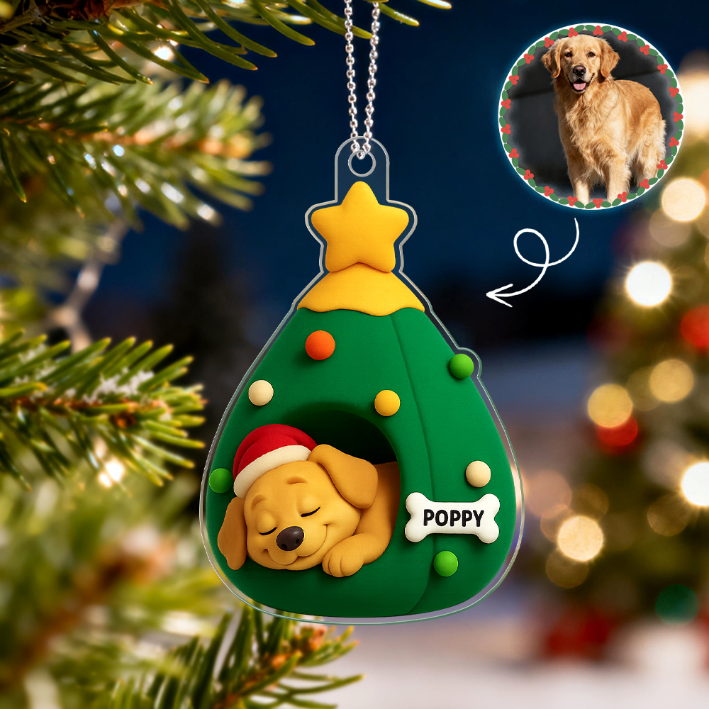 Custom Acrylic Car Hanger Pet Love In Stocking Christmas Gifts for Cute Pets Cats Xmas Lovely Gift In Memory of Your Pets Existence - MyPhotoSocksAu