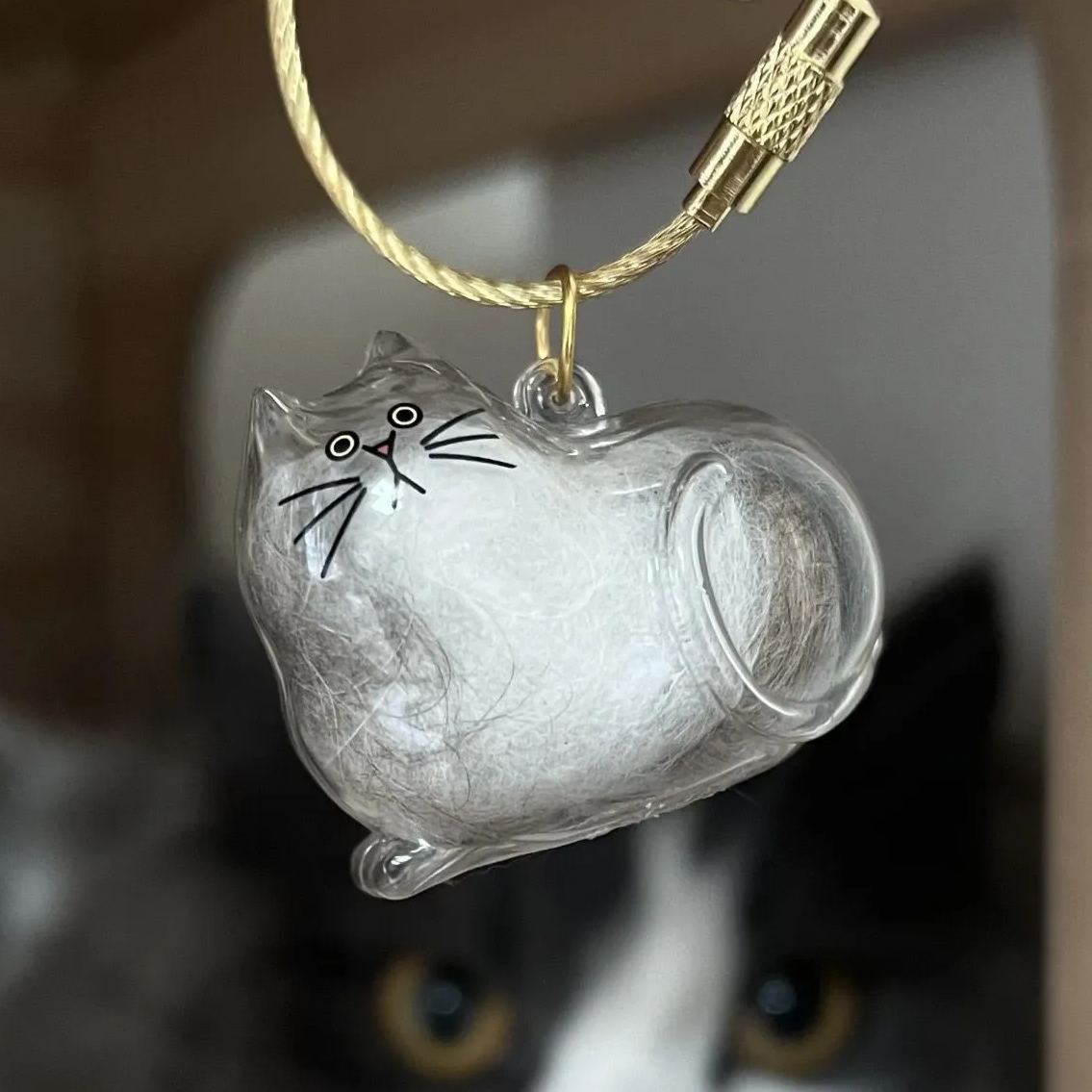 Transparent Cat Fur Capsule Keychain – Acrylic Gashapon Memory Holder Charm - MyPhotoSocksAu