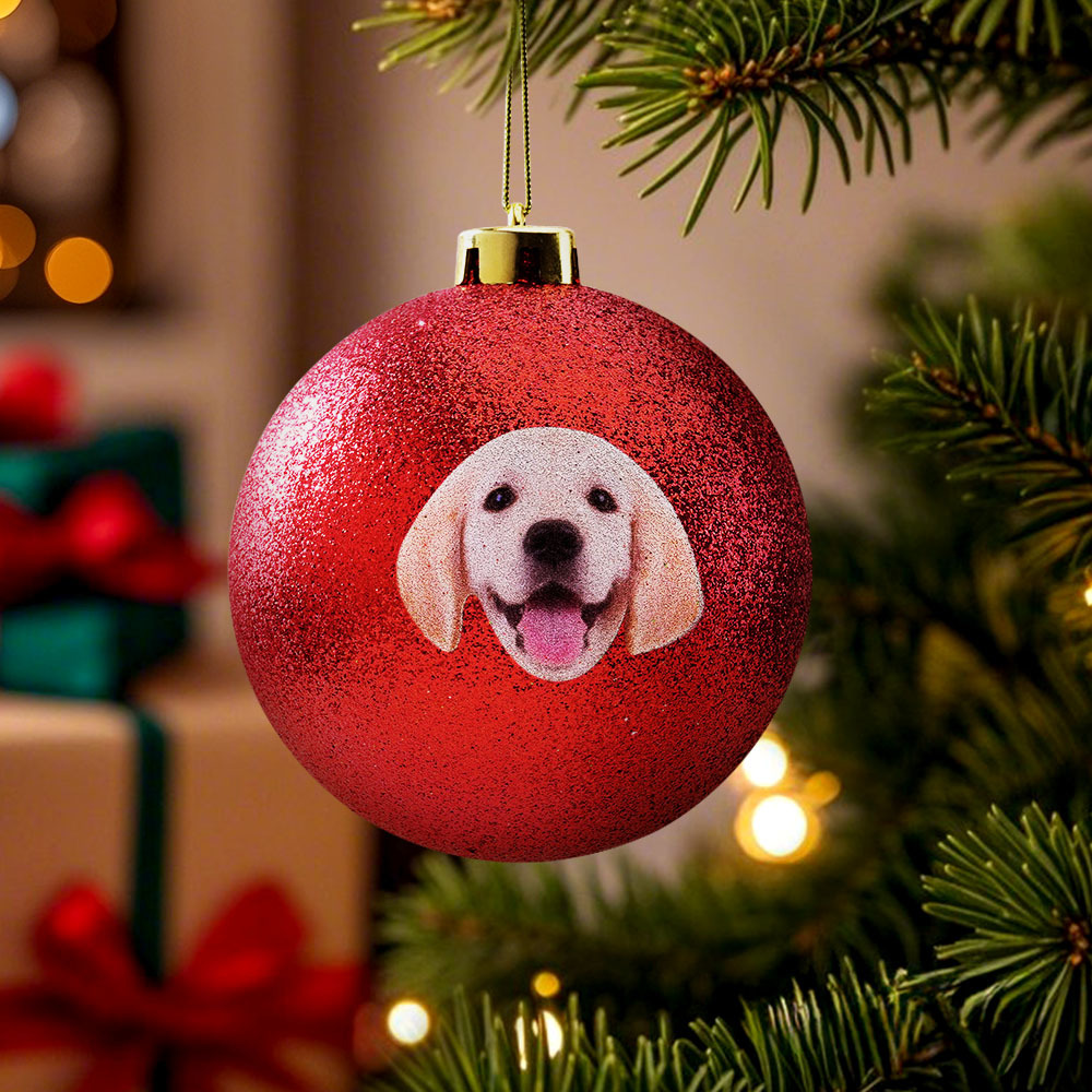 Custom Pet portrait Ornament Christmas Ball Dog  Personalised Cat Memorial Ornament - MyFaceUnderwearAU