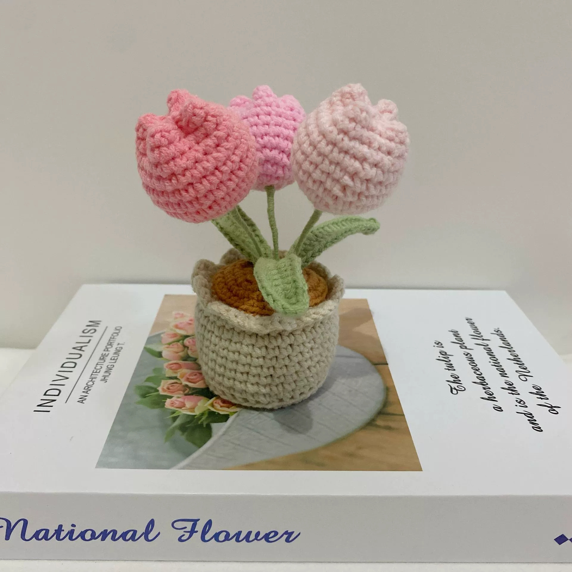 Crochet Flowers Bouquet Handmade Knitted Rose Tulip Bouquet With Clear Tote Bag and String Lights Happy Mother's Day Gift - MyFaceUnderwearAU