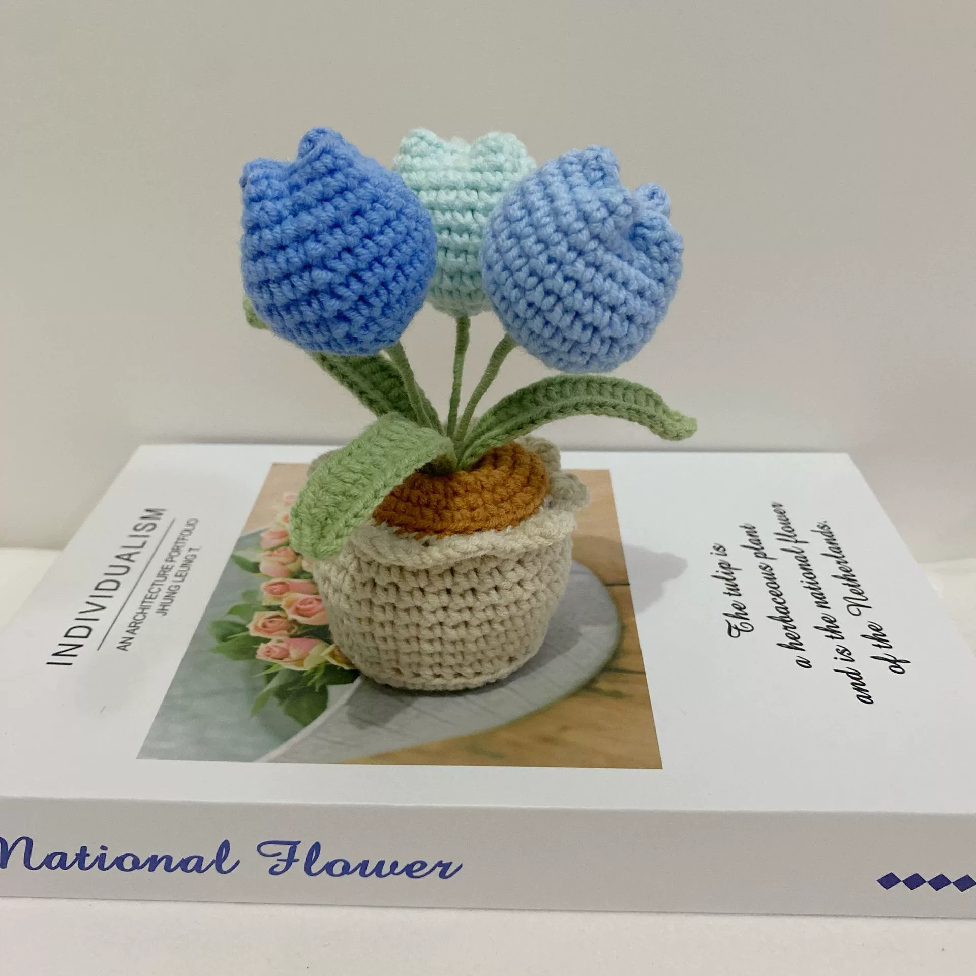 Crochet Flowers Bouquet Handmade Knitted Rose Tulip Bouquet With Clear Tote Bag and String Lights Happy Mother's Day Gift - MyFaceUnderwearAU